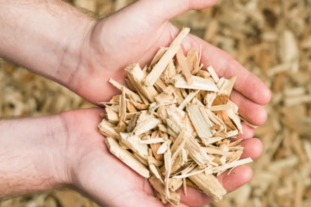 Do Wood Chips Turn into Dirt