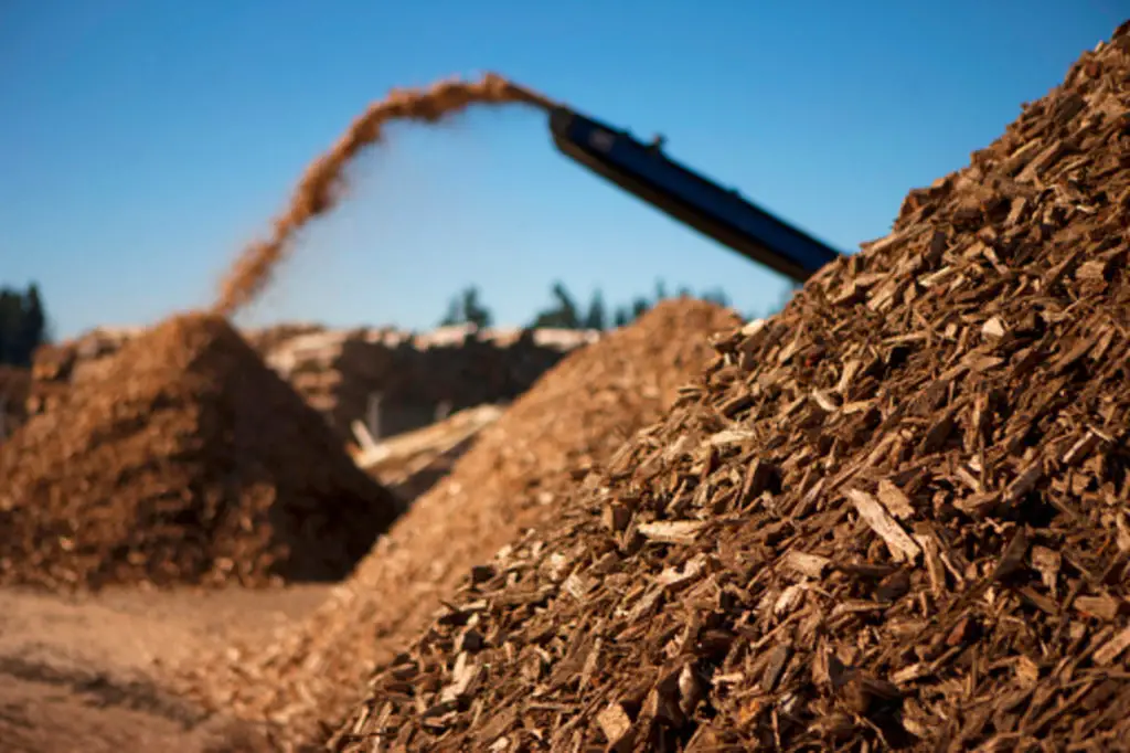 Can Wood Chips Be Used As Mulch