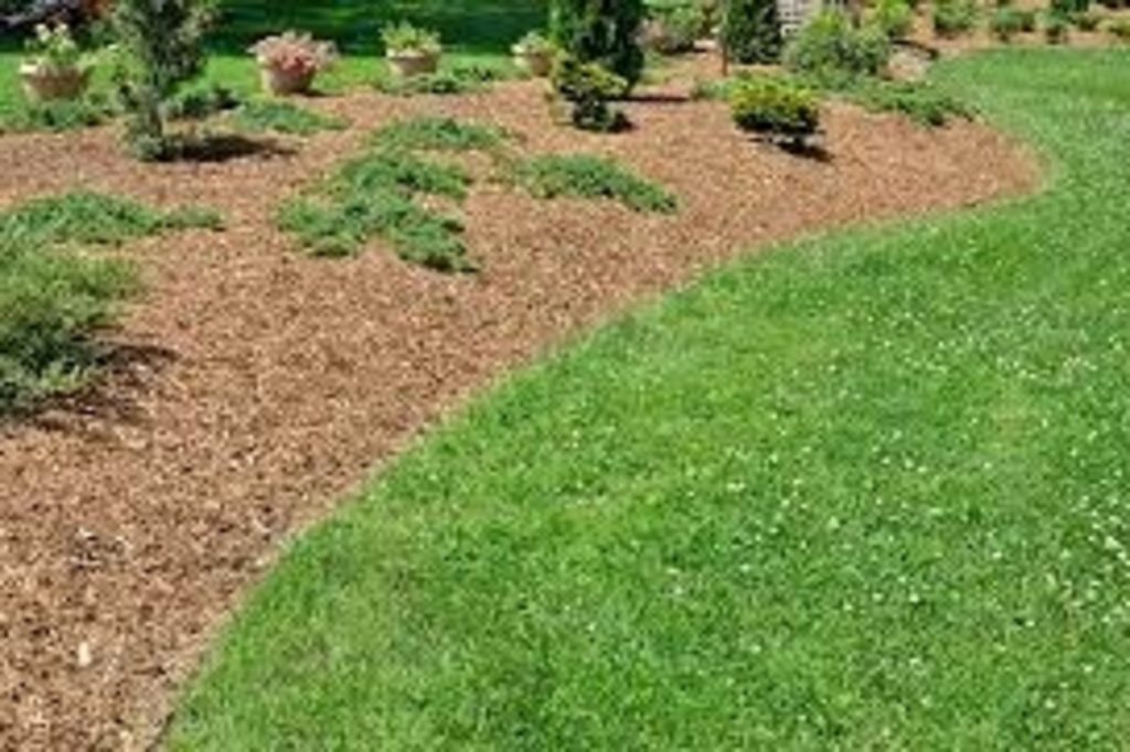 Can You Use Regular Mulch For Playground