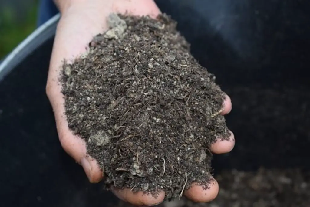 How To Make Mulch