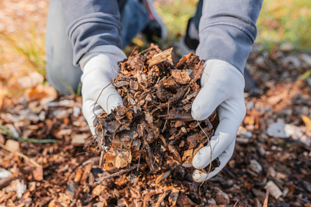 When Is The Best Time To Mulch