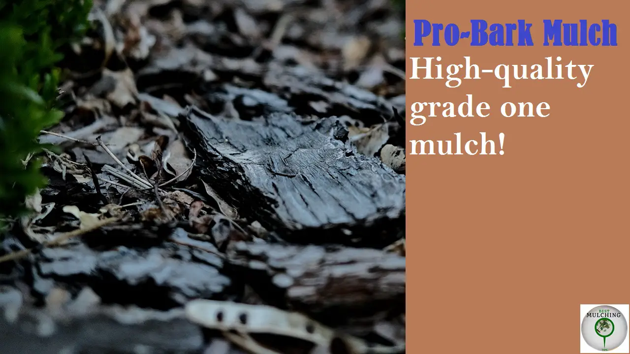 Pro-Bark Mulch